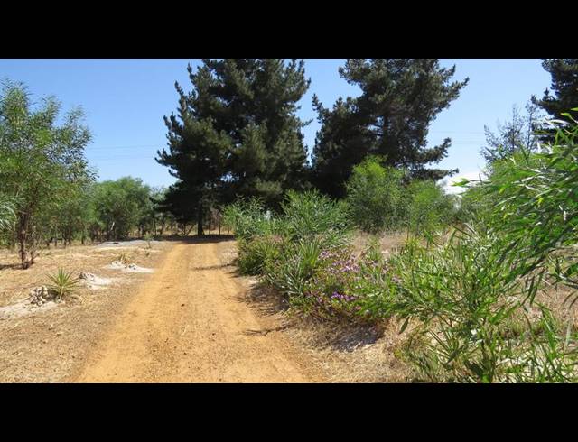 FARM FOR SALE IN KLEIN DASSENBERG